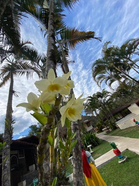 Hotel Fazendinha ペネド エクステリア 写真