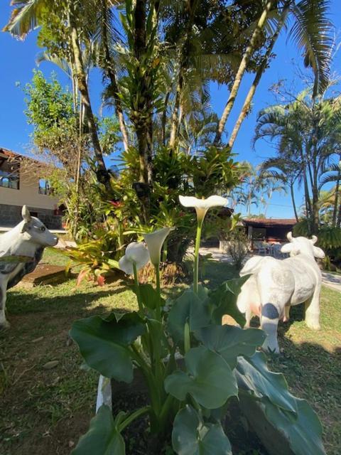 Hotel Fazendinha ペネド エクステリア 写真